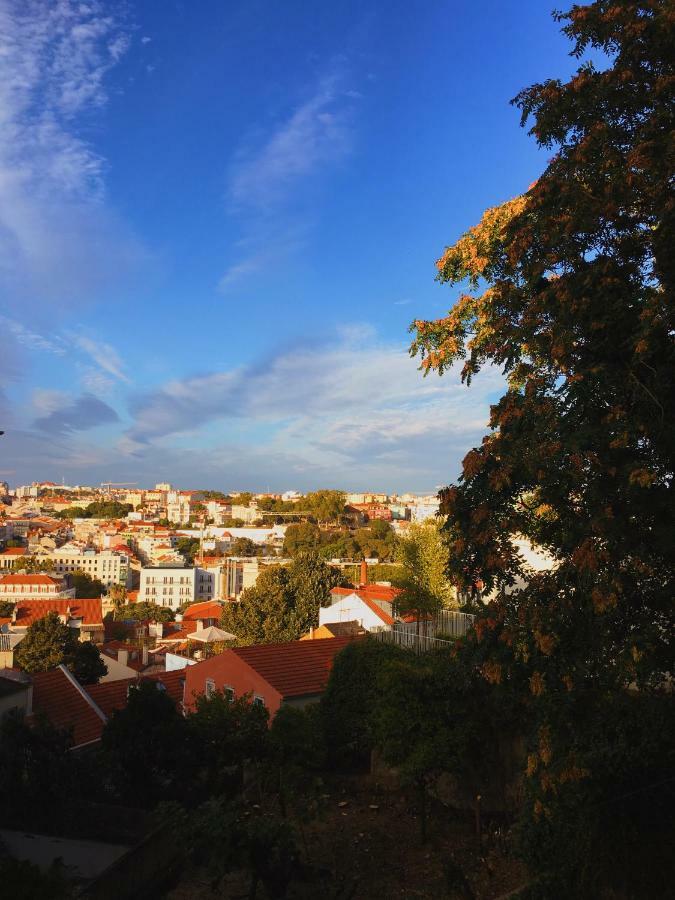 Charm Discovery Principe 7 Lisboa Ngoại thất bức ảnh